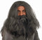 WIZARD WIG AND BEARD